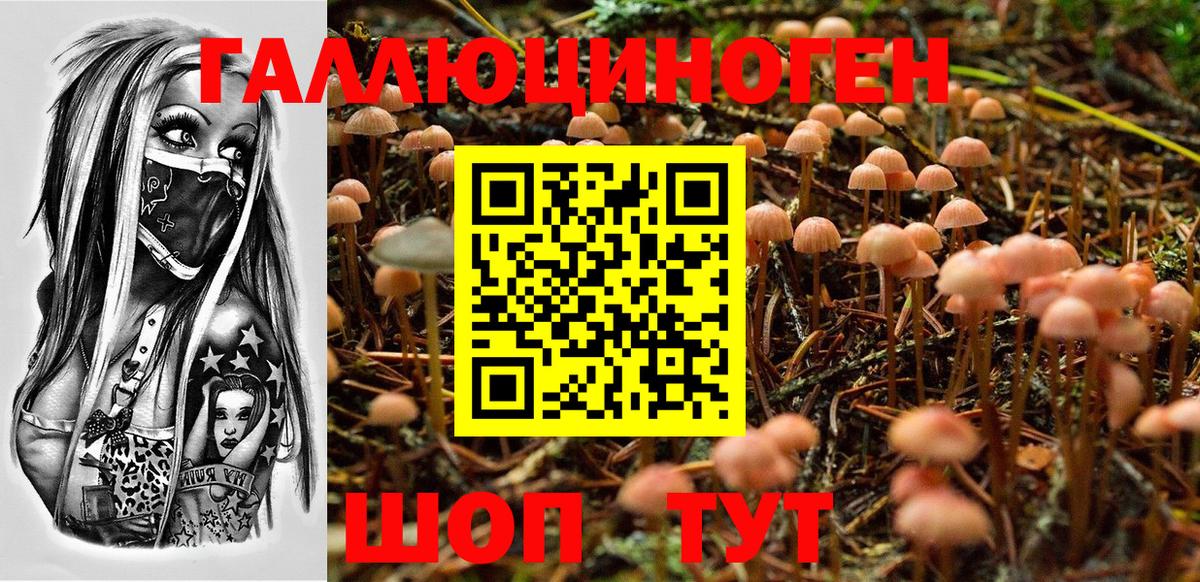 Псилоцибиновые грибы мицелий  Вход с VPN  Галлюциногенные грибы GOLDEN TEACHER  Горячий Ключ 