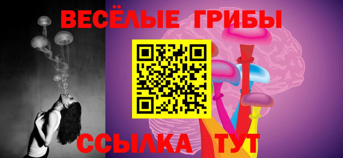 Псилоцибиновые грибы Psilocybe Горячий Ключ